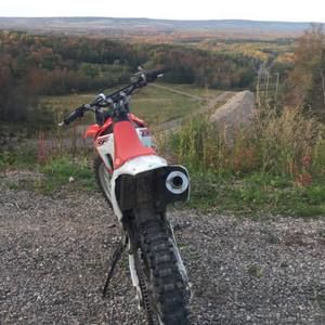 Meet your Posher, Riley